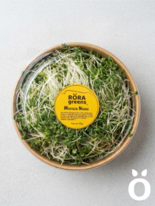 Microgreens Mostaza negra Cosechados caja 90 gr. - Röra Greens