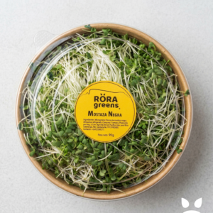 Microgreens Mostaza negra Cosechados caja 90 gr. - Röra Greens