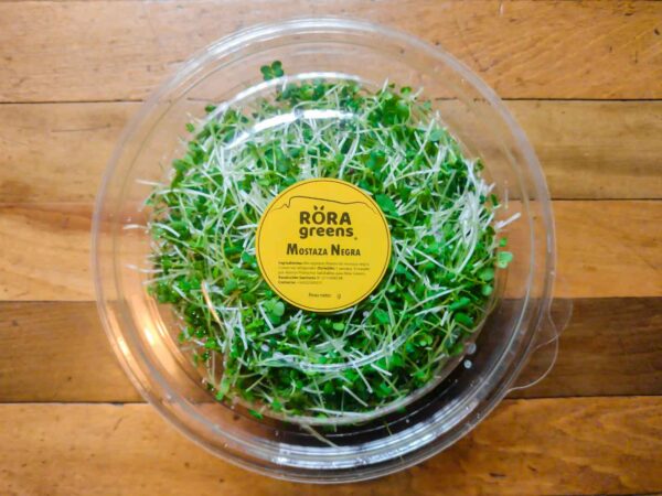 Imagen de microgreens de Mostaza de 90 gramos, marca Roragreens.